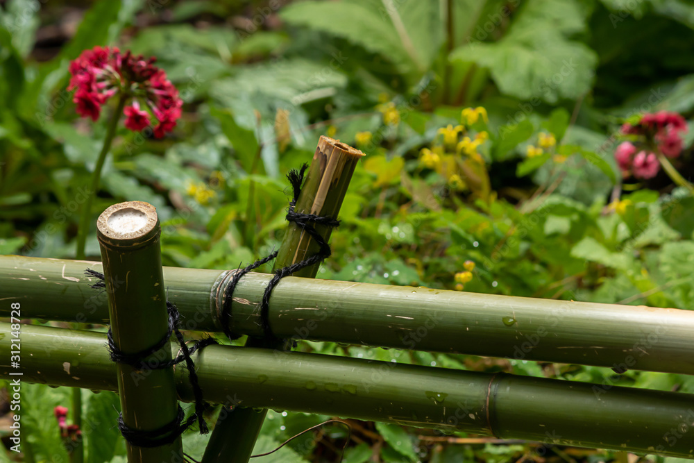 botanical garden with a green bamboo fence latched together botanical garden with a green bamboo fence latched together