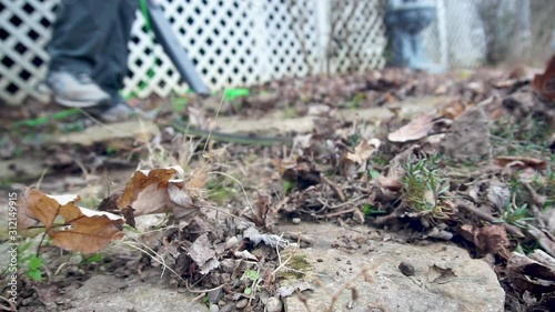 Blowing Leaves with an Electric Leafblower in a Garden