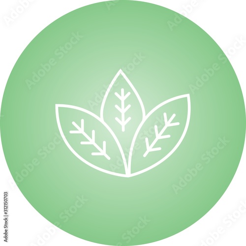 Unique Spearmint Vector Line Icon