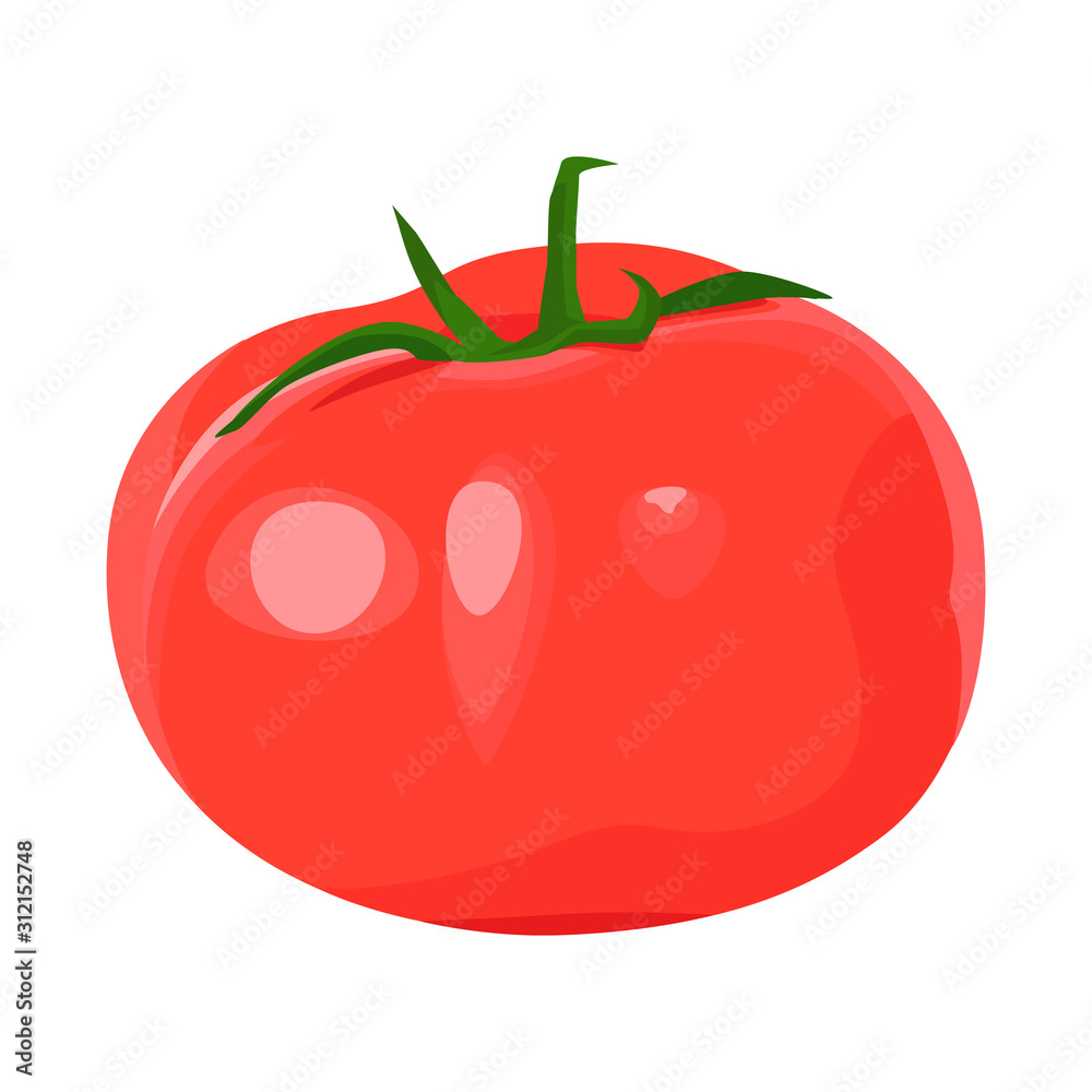 野菜のイラスト。真っ赤でフレッシュな大玉トマトのイラスト。 野菜のイラスト。真っ赤でフレッシュな大玉トマトのイラスト。