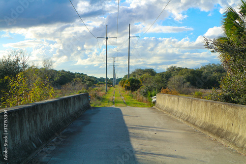 High tension power lines path photo