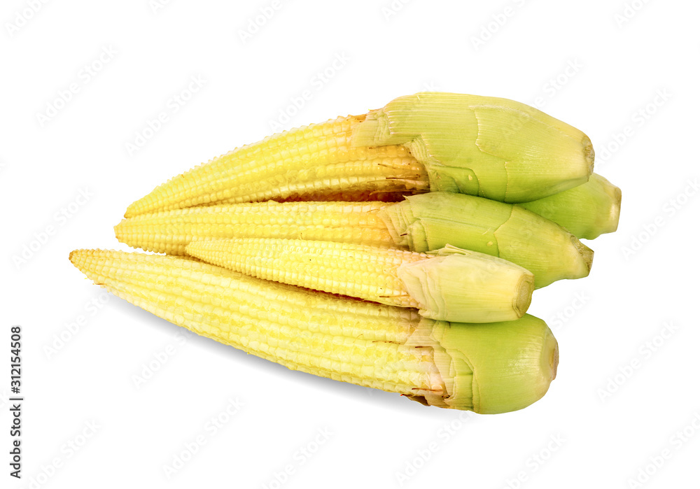 Baby corn on a white background Baby corn on a white background
