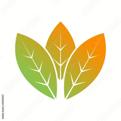 Unique Spearmint Vector Glyph Icon