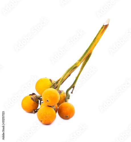 ripe acera or betel palm nut fruit isolate on white background photo