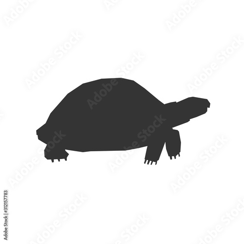 tortoise icon vector illustration for graphic design and websites