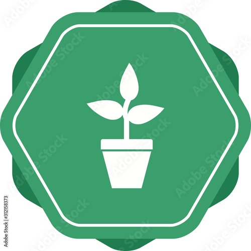 Unique Successful Growth Vector Glyph Icon photo