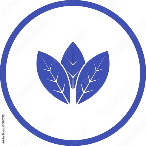 Unique Spearmint Vector Glyph Icon