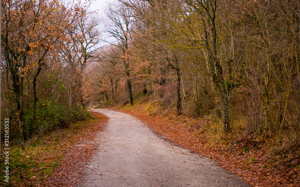 Mountain town road in the autumn season whit the leaves that fall to the ground Mountain town road in the autumn season whit the leaves that fall to the ground