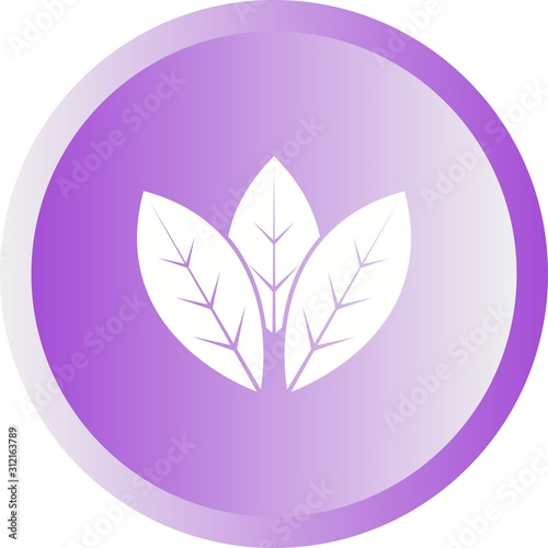 Unique Spearmint Vector Glyph Icon