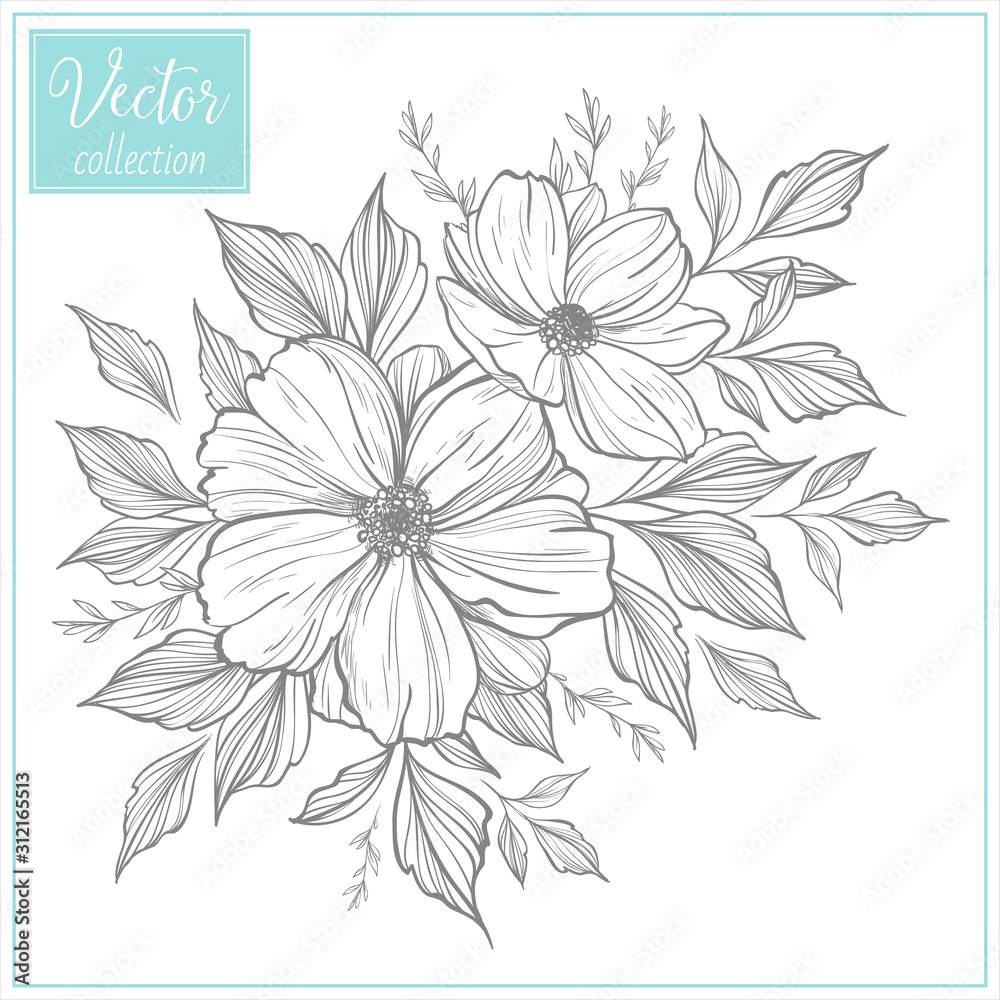 Hand Drawn Botanical Flowers. Set of plant elements. Vector Collection of Illustrations Hand Drawn Botanical Flowers. Set of plant elements. Vector Collection of Illustrations