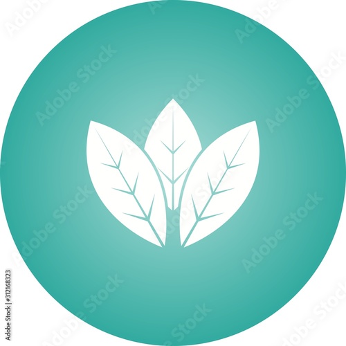 Unique Spearmint Vector Glyph Icon