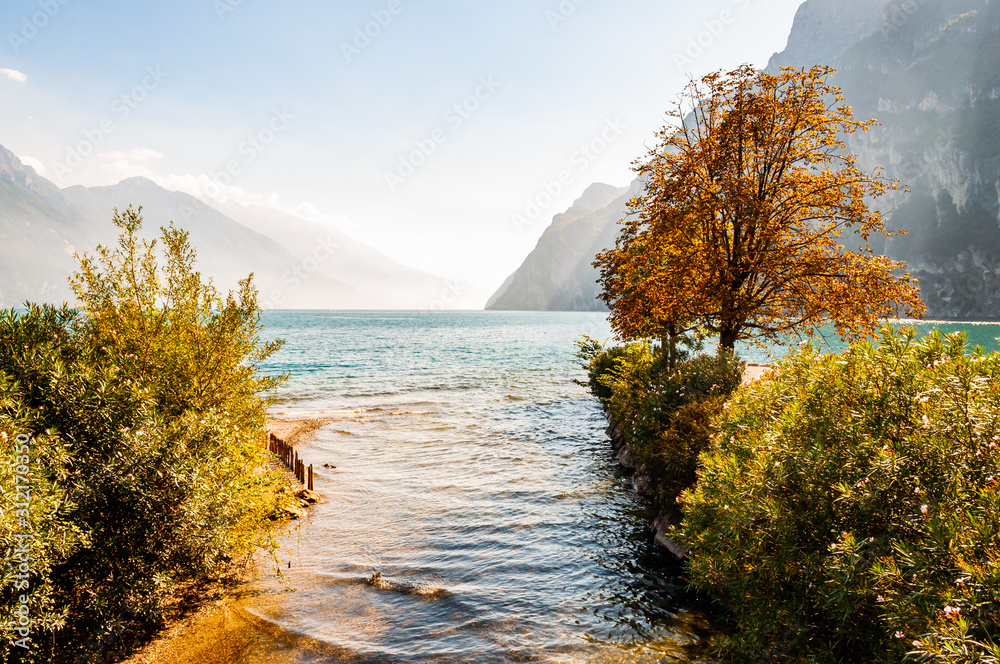 Φωτογραφία Trees and plants growing on the shore of beautiful Garda lake in Lombardy, Italy surrounded by high dolomite mountains