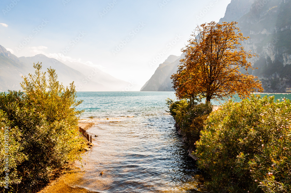 Φωτογραφία Trees and plants growing on the shore of beautiful Garda lake in Lombardy, Italy surrounded by high dolomite mountains