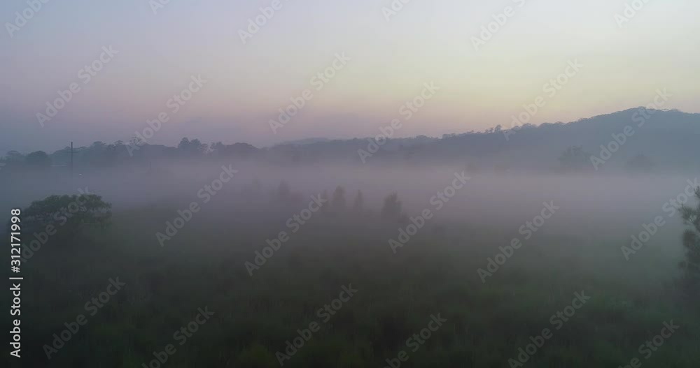Farming land misty morning, Byron Bay Australia Farming land misty morning, Byron Bay Australia