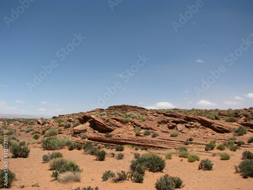 Desert Landscape