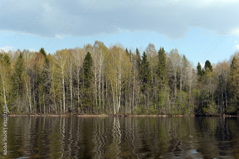 Sheksna River. Vologda Oblast. Russia Sheksna River. Vologda Oblast. Russia