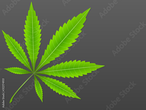 Marijuana