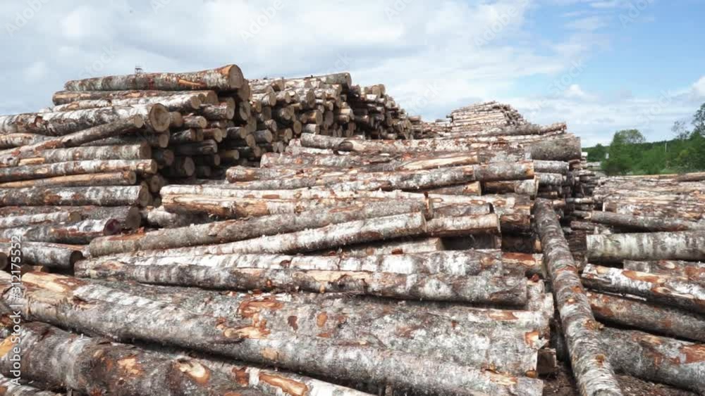 storage and transportation of lumber logs storage and transportation of lumber logs