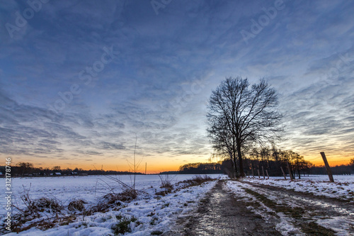 Frostiger Feldweg © Oliver Sasse