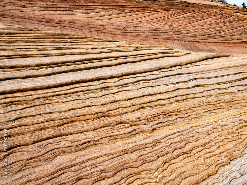 Fototapeta premium Rock Formations in Zion National Park
