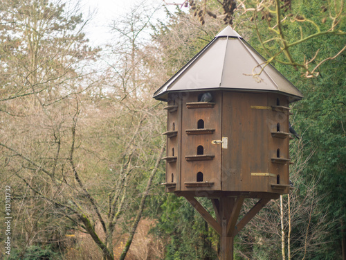 Wooden pigeon house with pigeons in a park