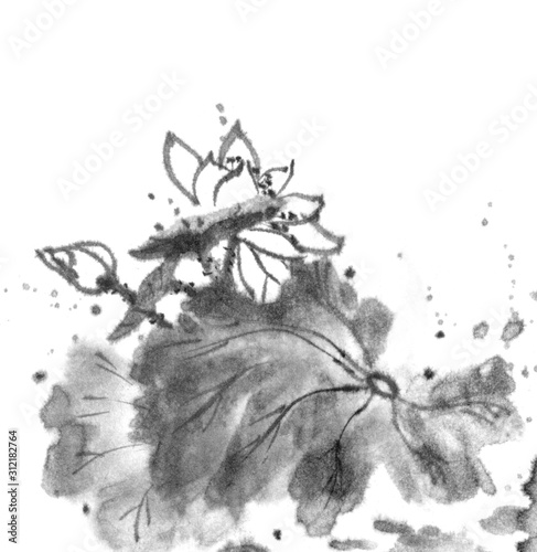 Lotus, ink image. Handmade ink lotus flowers on a white background. Sumi-e traditional Japanese ink painting.
