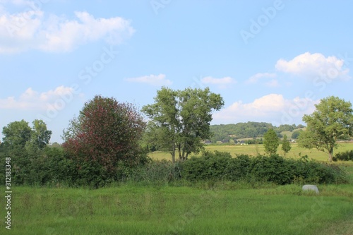 landscape in the countryside