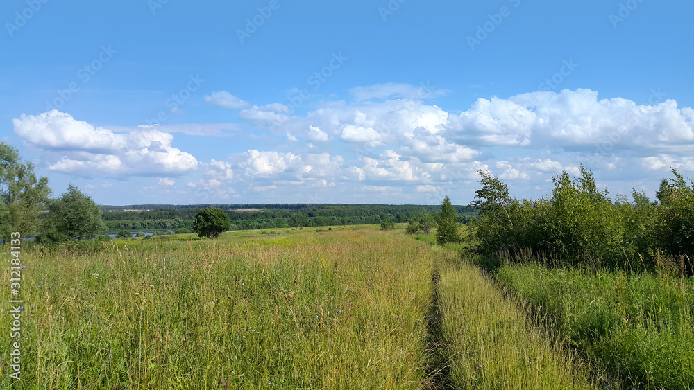 Beautiful summer landscape Beautiful summer landscape