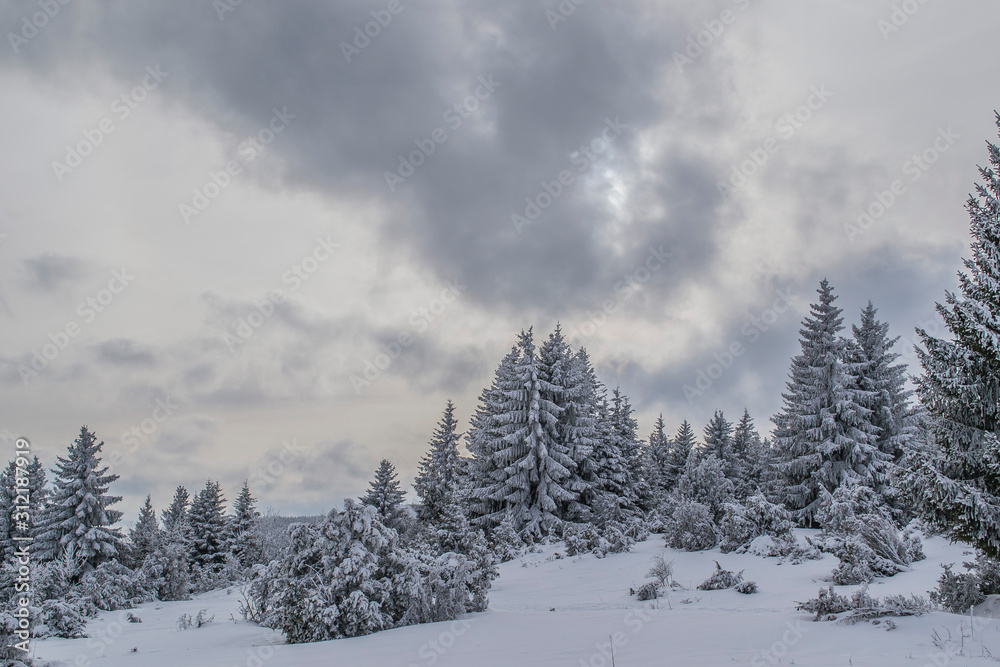 Fototapeta premium Sommet du Hilsenfirst, Vosges