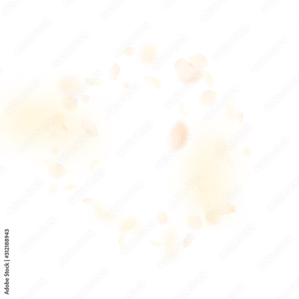 Yellow orange flower petals falling down. Original Yellow orange flower petals falling down. Original