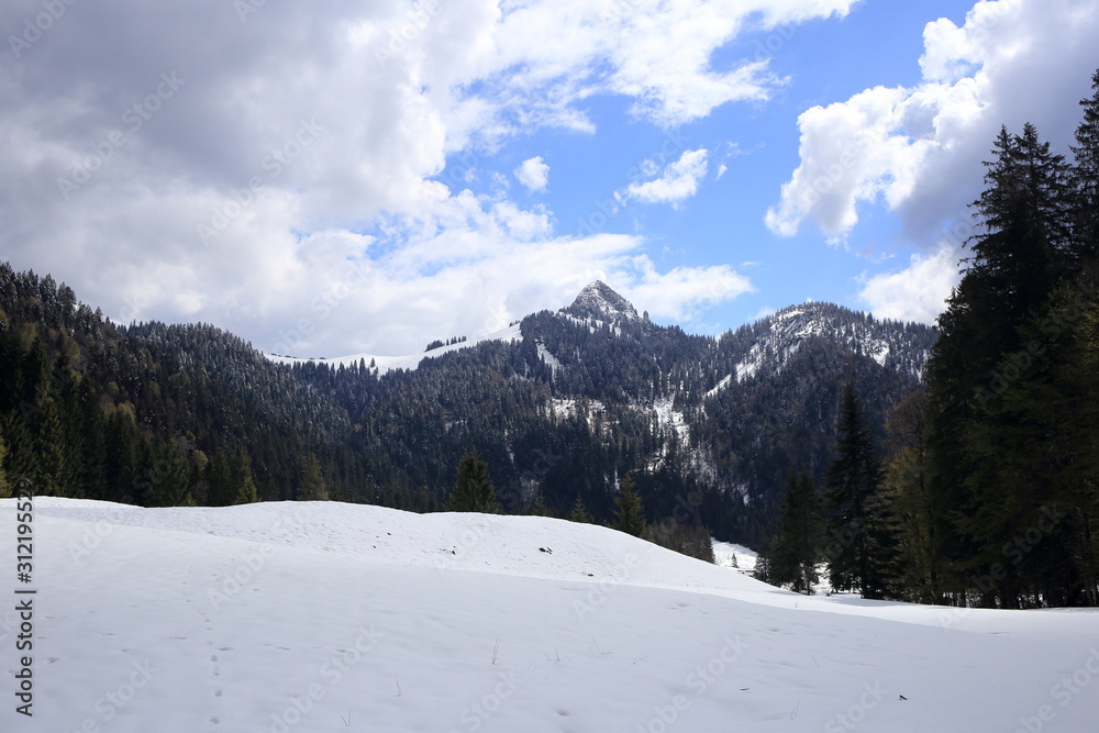 Fototapeta premium snowy landscape in winter