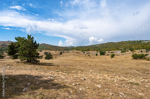 Panorama of the Ai-Petri plateau with low pines on a cloudy sunny day.