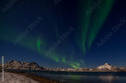 amazing polar lights  Aurora borealis over the mountains in the North of Europe - Lofoten islands  Norway