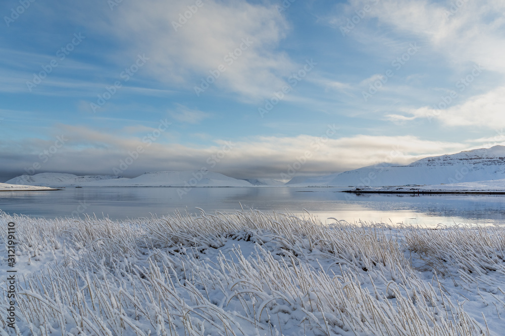 Grass covered with hoarfrost. Snow desert spring landscape in Northern Europe. iceland