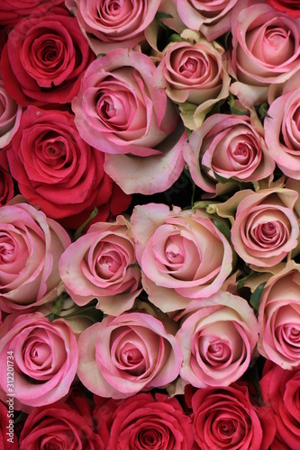 Mixed pink roses © Studio Porto Sabbia