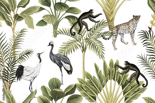Fototapeta Tropical vintage botanical green palm tree, banana tree, crane, monkey and leopard floral seamless pattern white background. Exotic jungle wallpaper.