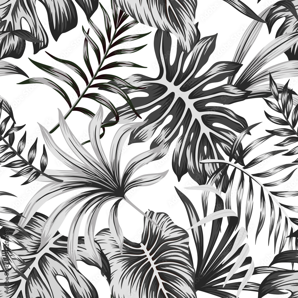 Fototapeta Tropikalna czarno-biała palma pozostawia wzór b