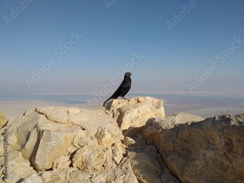Masada, December 23th 2019 - Judean Desert from Masada - Masada National Park, Dead Sea Region, Israel