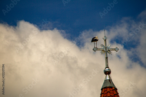 Storks in Christian, Romania