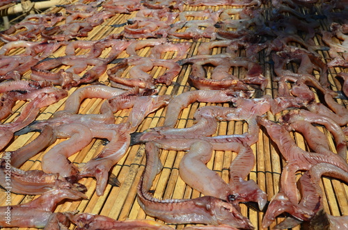 zum Trocknen ausgelegter Fisch, Myanmar photo