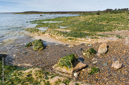 Stone shoal at low tide, Peninsula Valdes, Patagonia, Argentina