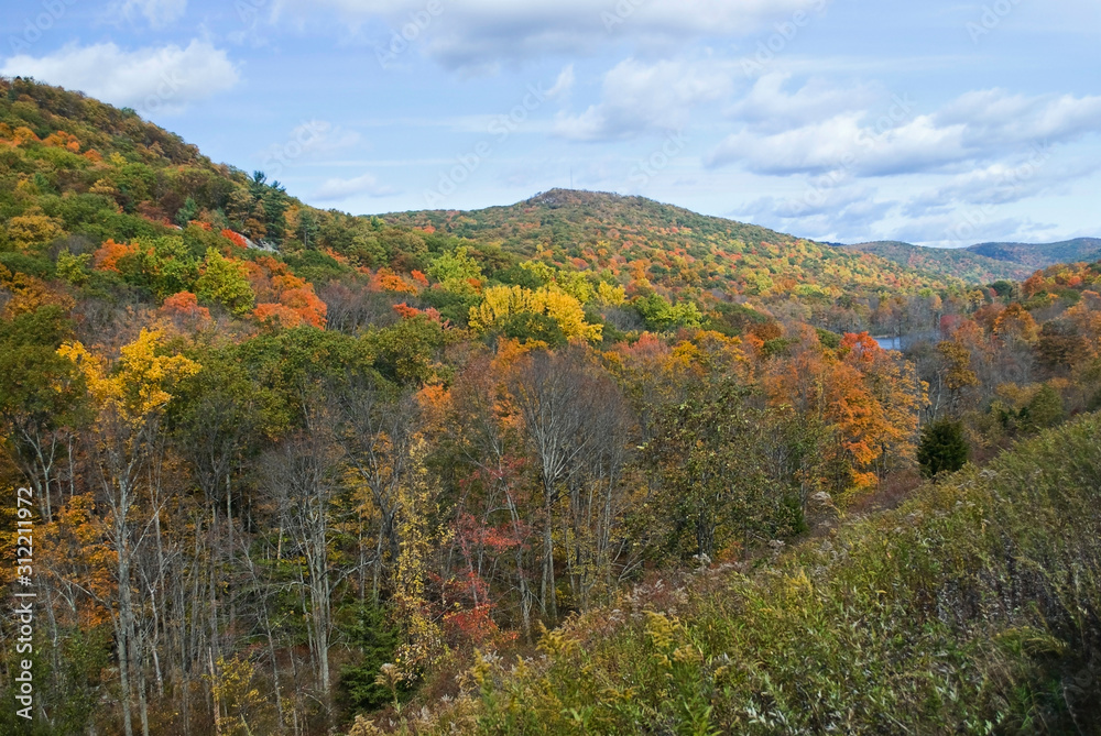 Catskills Autumn View