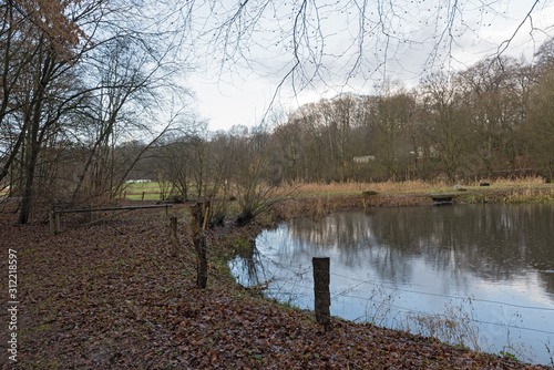 the volksdorfer pond meadows in winter hamburg germany photo