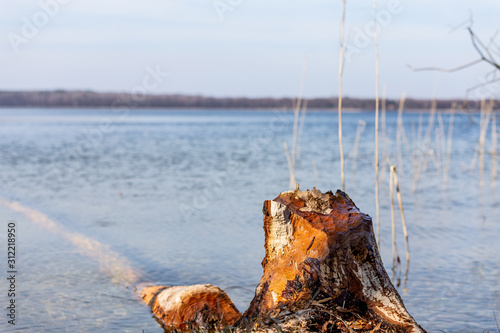 Fototapeta Naklejka Na Ścianę i Meble -  Poland, Mazury Lake District