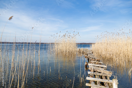 Fototapeta Naklejka Na Ścianę i Meble -  Poland, Mazury Lake District