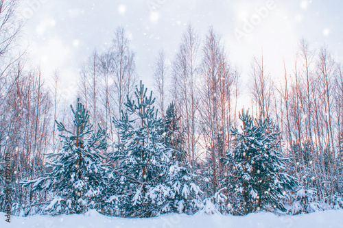 Frozen winter forest with snow covered trees. © alenalihacheva