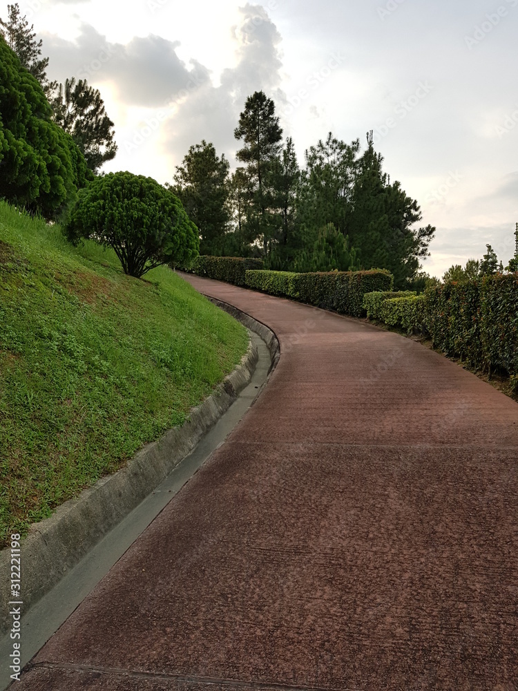 Walkway pavement -in a park