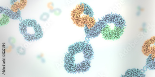 Multicolored anitibody or immunoglobulin - 3d illustration photo