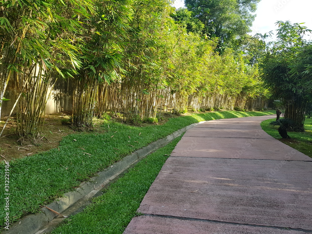 Walkway pavement -in a park