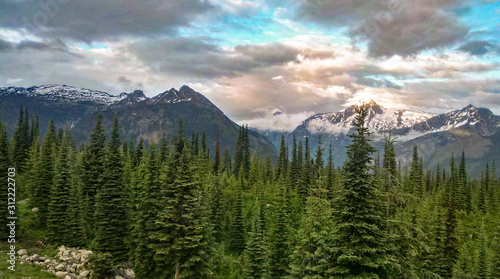 mountains clouds and tall trees